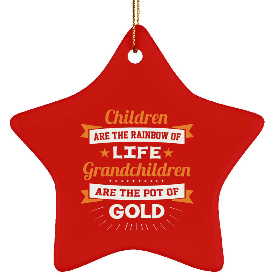 Children Are Rainbow Of Life, Grandchildren Are Pot Of Gold - Star Ornament