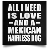 All I Need Is Love And A Mexican Hairless Dog - Poster Square