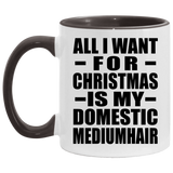 All I Want For Christmas Is My Domestic Mediumhair - 11oz Accent Mug Black
