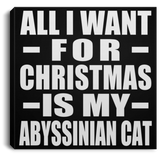 All I Want For Christmas Is My Abyssinian Cat - Canvas Square
