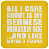 All I Care About Is My Bernese Mountain Dog - Drink Coaster