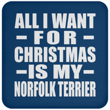 All I Want For Christmas Is My Norfolk Terrier - Coaster