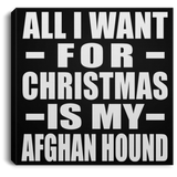 All I Want For Christmas Is My Afghan Hound - Canvas Square