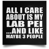 All I Care About Is My Lab Pei - Poster Square
