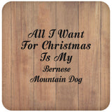 All I Want For Christmas Is My Bernese Mountain Dog - Drink Coaster C
