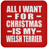 All I Want For Christmas Is My Welsh Terrier - Coaster