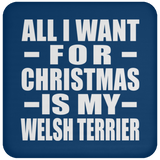 All I Want For Christmas Is My Welsh Terrier - Coaster