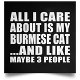 All I Care About Is My Burmese Cat - Poster Square