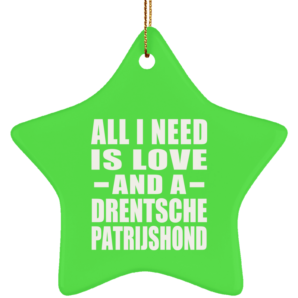 All I Need Is Love And A Drentsche Patrijshond - Star Ornament