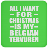 All I Want For Christmas Is My Belgian Tervuren - Coaster