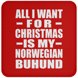 All I Want For Christmas Is My Norwegian Buhund - Coaster