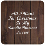 All I Want For Christmas Is My Dandie Dinmont Terrier - Drink Coaster D