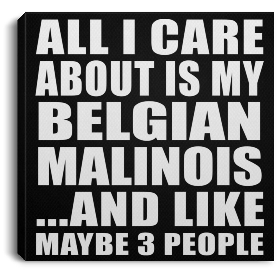 All I Care About Is My Belgian Malinois - Canvas Square