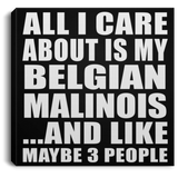 All I Care About Is My Belgian Malinois - Canvas Square