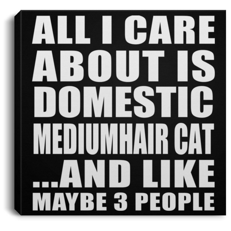 All I Care About Is Domestic Mediumhair Cat - Canvas Square