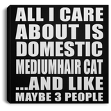 All I Care About Is Domestic Mediumhair Cat - Canvas Square