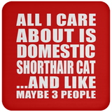 All I Care About Is Domestic Shorthair Cat - Drink Coaster