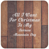 All I Want For Christmas Is My Bernese Mountain Dog - Drink Coaster E