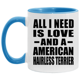 All I Need Is Love And A American Hairless Terrier - 11oz Accent Mug Blue