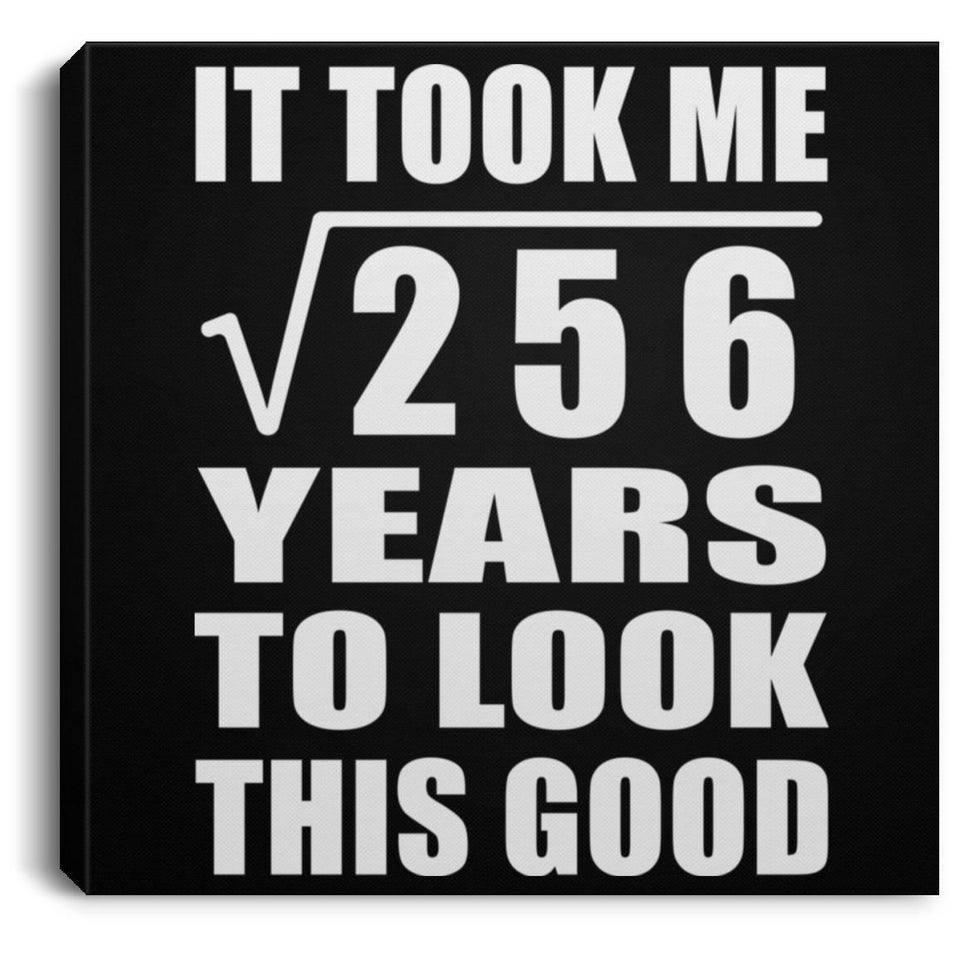 16th Birthday Took Square Root of 256 Years To Look Good - Canvas Square