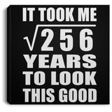 16th Birthday Took Square Root of 256 Years To Look Good - Canvas Square