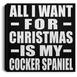 All I Want For Christmas Is My Cocker Spaniel - Canvas Square
