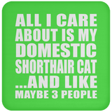 All I Care About Is My Domestic Shorthair Cat - Drink Coaster