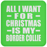 All I Want For Christmas Is My Border Collie - Coaster