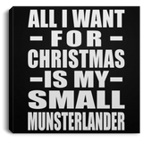 All I Want For Christmas Is My Small Munsterlander - Canvas Square