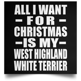 All I Want For Christmas Is My West Highland White Terrier - Poster Square