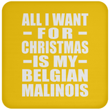All I Want For Christmas Is My Belgian Malinois - Coaster