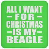 All I Want For Christmas Is My Beagle - Coaster