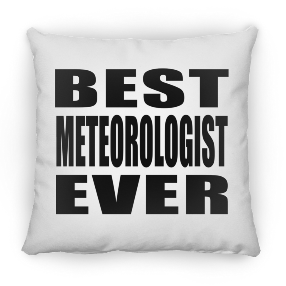 Best Meteorologist Ever - Throw Pillow