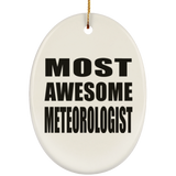 Most Awesome Meteorologist - Oval Ornament