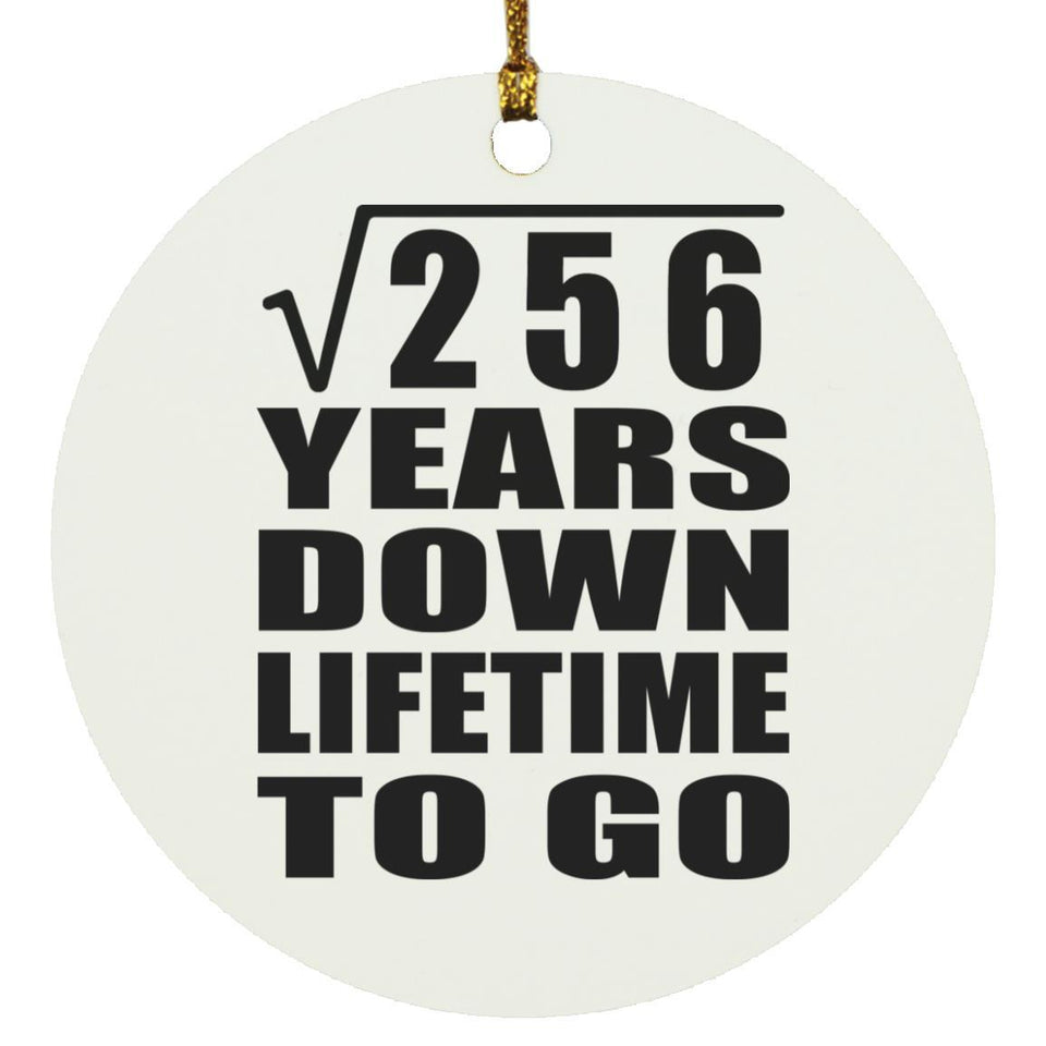 16th Anniversary Square Root of 256 Years Lifetime To Go - Circle Ornament