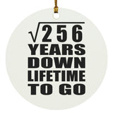 16th Anniversary Square Root of 256 Years Lifetime To Go - Circle Ornament