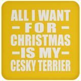 All I Want For Christmas Is My Cesky Terrier - Coaster