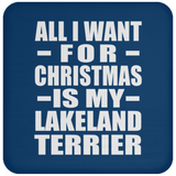 All I Want For Christmas Is My Lakeland Terrier - Coaster