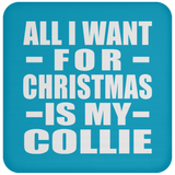 All I Want For Christmas Is My Collie - Coaster