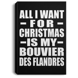 All I Want For Christmas Is My Bouvier Des Flandres - Canvas Portrait