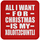All I Want For Christmas Is My Xoloitzcuintli - Coaster