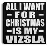 All I Want For Christmas Is My Vizsla - Canvas Square