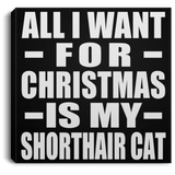 All I Want For Christmas Is My Shorthair Cat - Canvas Square
