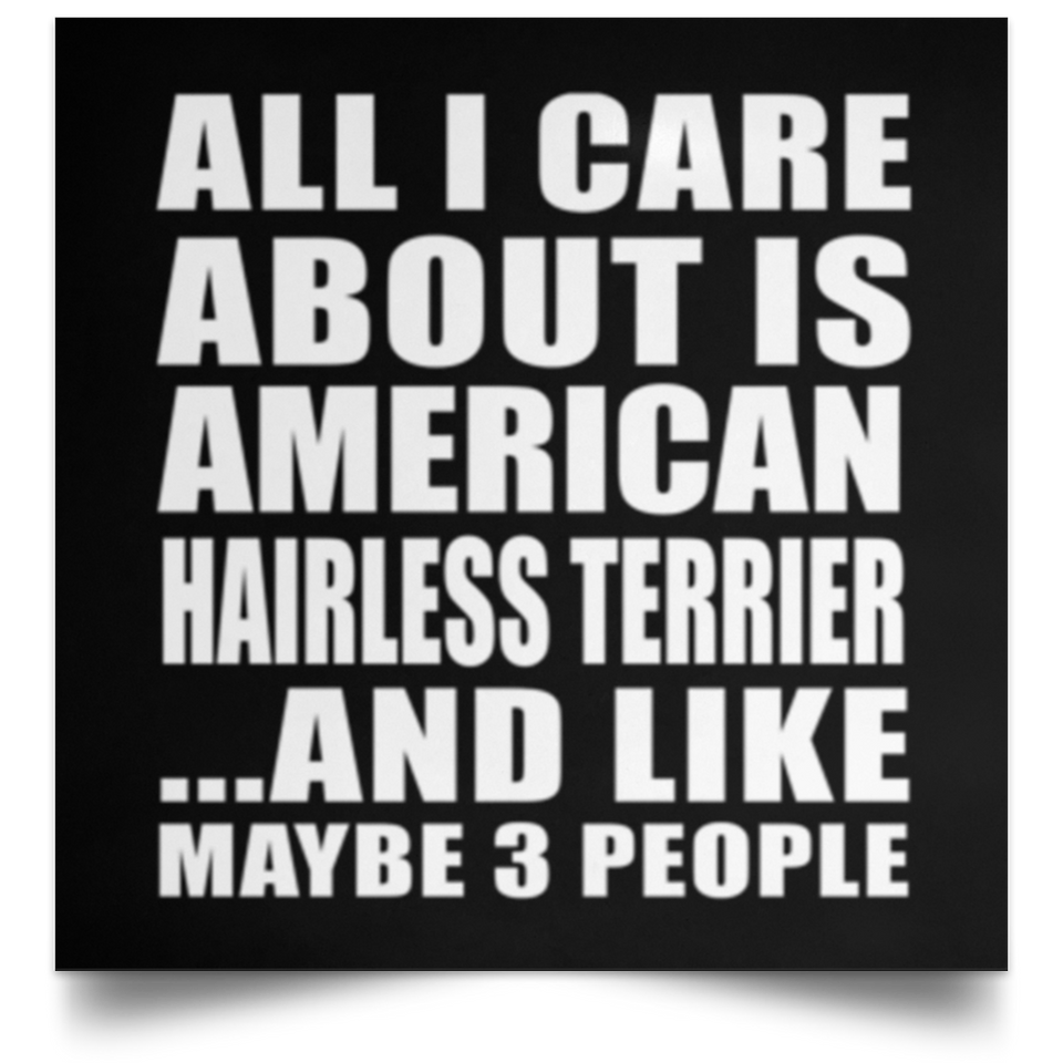 All I Care About Is American Hairless Terrier - Poster Square