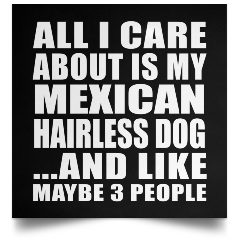 All I Care About Is My Mexican Hairless Dog - Poster Square