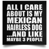 All I Care About Is My Mexican Hairless Dog - Poster Square