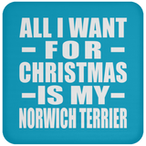 All I Want For Christmas Is My Norwich Terrier - Coaster