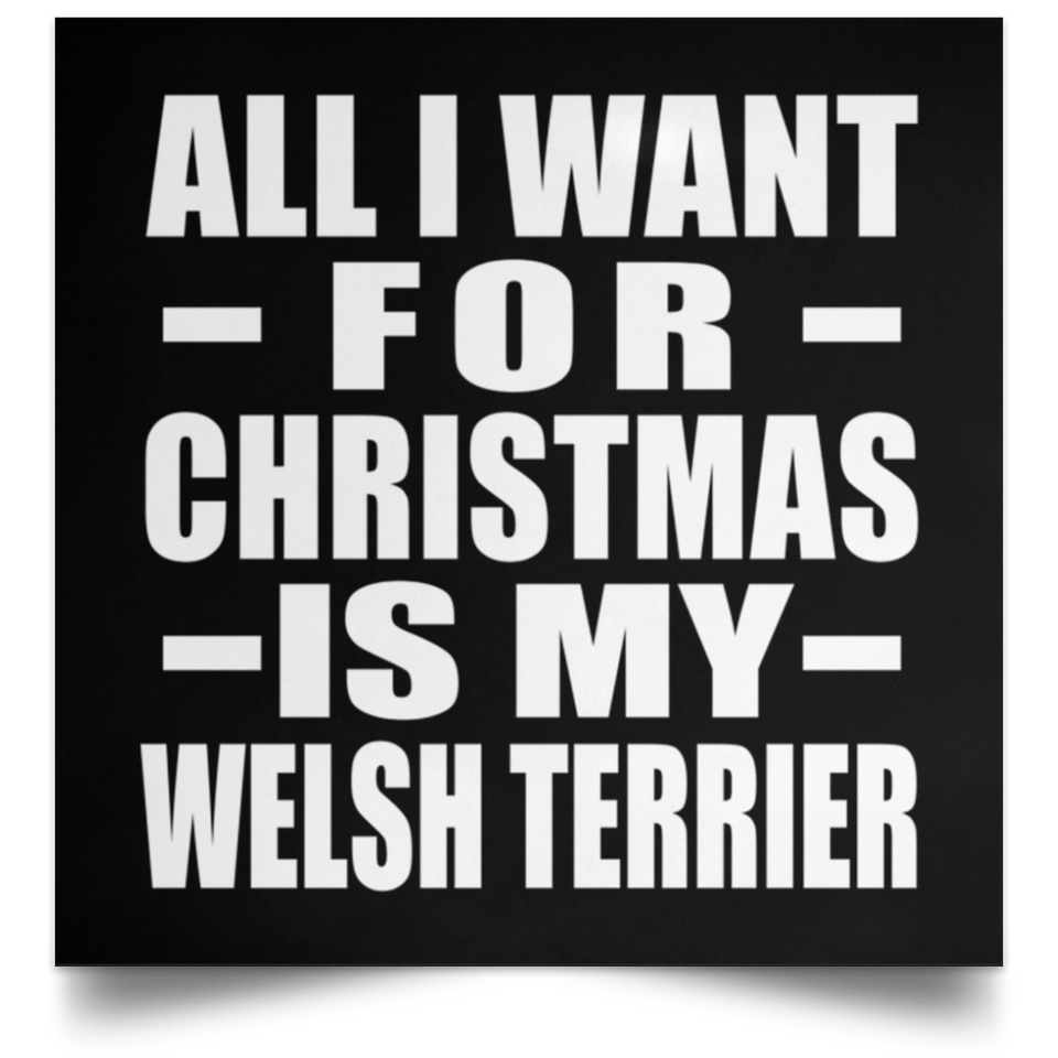 All I Want For Christmas Is My Welsh Terrier - Poster Square