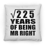 15th Anniversary Square Root of 225 Years of Being Mr Right - Throw Pillow