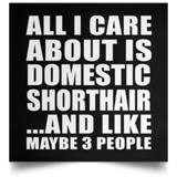 All I Care About Is Domestic Shorthair - Poster Square